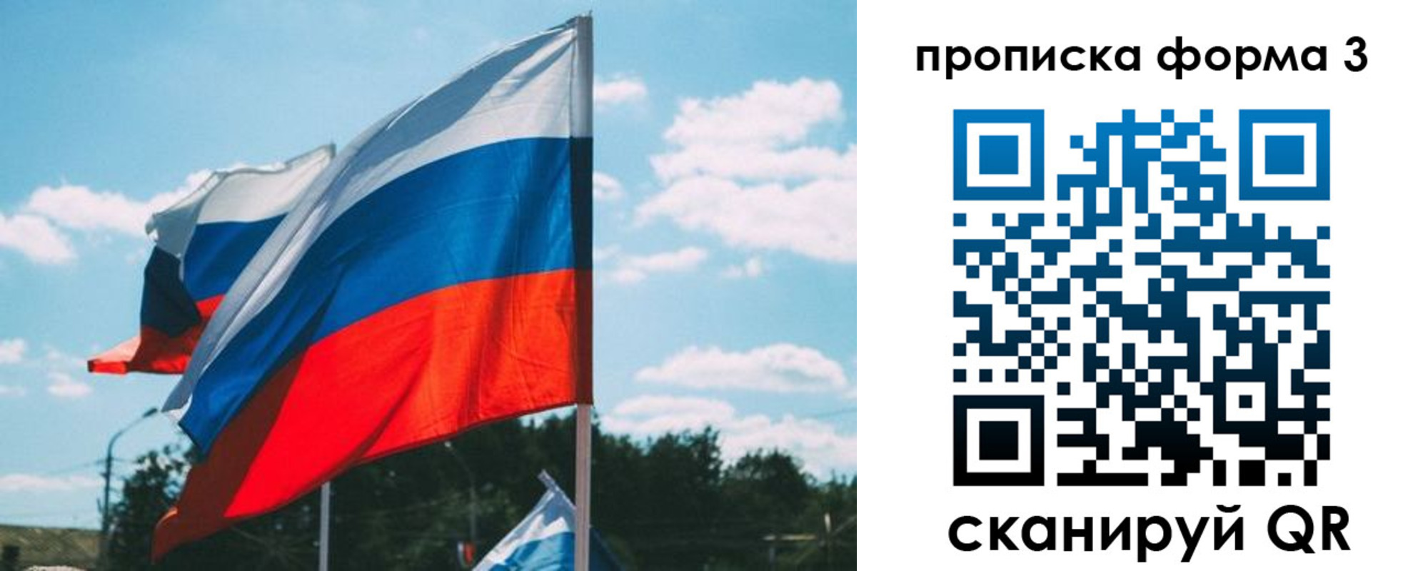 прописка в Курской области